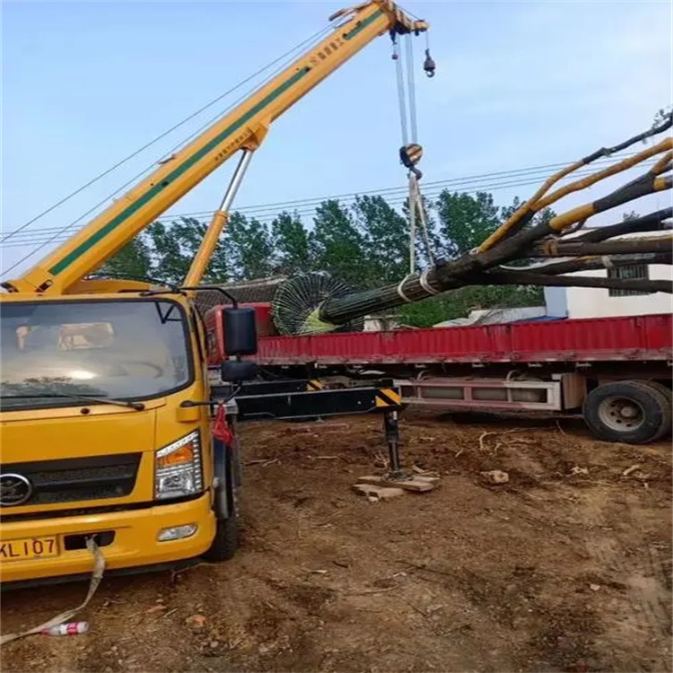 净潭乡100吨吊车租赁费用怎么算？3大关键因素+省钱技巧全解析